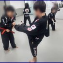 화랑합기도 특공무술 이미지