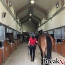 본마사동 이미지