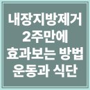 (주)놀라운맥주 | 내장지방 빼는법 초보자도 2주 안에 효과 보는 방법