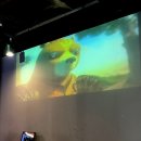 판다중식 | 연남동 중식 맛집 판다딤섬ㅣ트러플딤섬 북경오리 주문 솔직후기