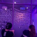 바디핏 피트니스 이미지