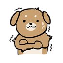 퀸애견 이미지