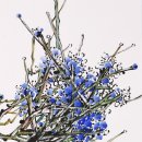 여흥프라자 이미지