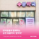 순천동물약국 이미지