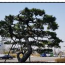 대하노래연습장 이미지