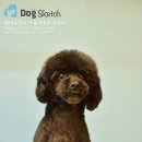도그스케치 이미지