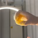 무리바 케어 | 대전 왁싱샵 서구 용문동 바라온 뷰티 임산부 브라질리언 왁싱 Y존케어 후기