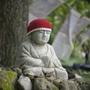 송광사 왕벚나무길 이미지