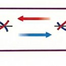 헬스트론 | 변비와 헬스트론 오산