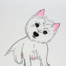 엘슈슈 이미지