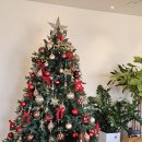 부성각 | [강릉 옥계] 동해보양온천호텔 근처 식당 &amp; 카페 방문 일지 (동남식당, 수제만두, 알로하카페)