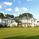 디퍼펜션 이미지