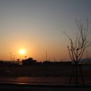 김영희강남아구찜명지점 이미지