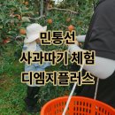 김내용농장 | 파주 사과따기 체험 추천｜6세 아이와 민통선 안 DMZ 농장 디엠지플러스 방문 후기