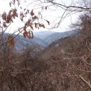 삼보쉼터 이미지