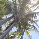 일주농장 이미지