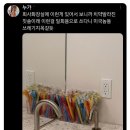 一回用 toothbrush 이미지