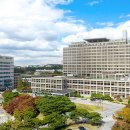 경기도 수원시 영통구 월드컵로 이미지