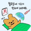 잇투헤븐 | 🏠신혼집밥일기👩🏻‍🍳💍 7/28~8/3 | 살은 찌고 있지만… 맛있으니까 괜찮아…★ (아마도)