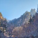 장수곰탕 이미지