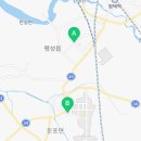 판다팜둔포