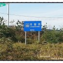주항천 네이버블로그