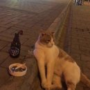 e하우스 이미지