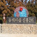 고고돼지 이미지