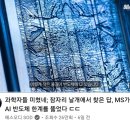 깨달은존재가 나타나더라도 대중은 오히려 비난 모욕 사기꾼으로 몰아붙인다 이미지
