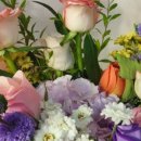 양지빌딩 이미지