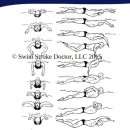 KBS스포츠월드 이미지