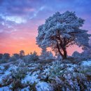 ‘나는 모른다.’라고 말하는 편이 더 낫다. 이미지