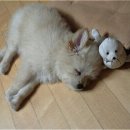 형도농장 이미지