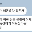 하우워즈유어 이미지