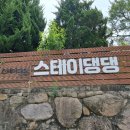 스테이댕댕