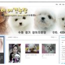 소미애견 농장 이미지