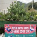 금평마을회관 이미지