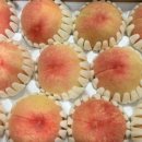 심복농장 이미지