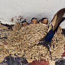 용죽아랫말 이미지