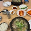 기장철마IC(기장)결빙 | [여행] 바람 따라 7번 국도 따라🌊 1일차. (영덕 읍내-칠보산자연휴양림)