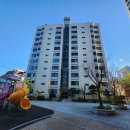 강남-275 이미지