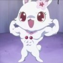 선인유도관 이미지