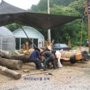 운연동 추어마을 이미지