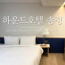 하운드 송정 | [부산] 하운드호텔 송정해수욕장 내돈내산 숙박 추천 후기
