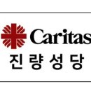 털보네자동차마을 이미지