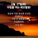 6월 27일(화)아침을 여는 건강한 에코힐링 (글 전체보기는 글주소 혹은 박스 안 사진클릭!) 이미지