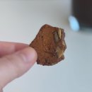 웅천북3로 | 여수 웅천 카페 추천, 생과일 케이크 맛집 :: 카페 그모