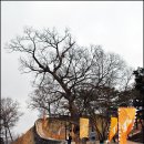 입장시장교차로 | 충남 공주 세계유산 공산성 Full course 완주!