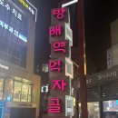 방배역 | [디얄로]방배 인도커리 맛집, 방배역 점심 디얄로 후기 🍛✨