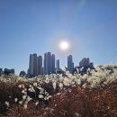 강경식당 이미지